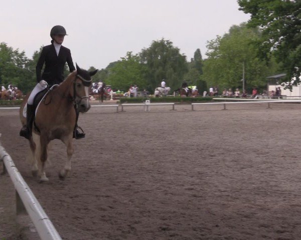 Reitturnier Hamm-Rhynern 2025