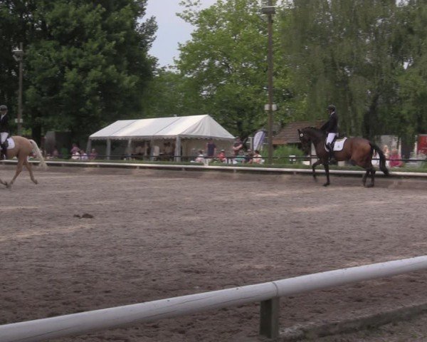 Reitturnier Hamm-Rhynern 2025