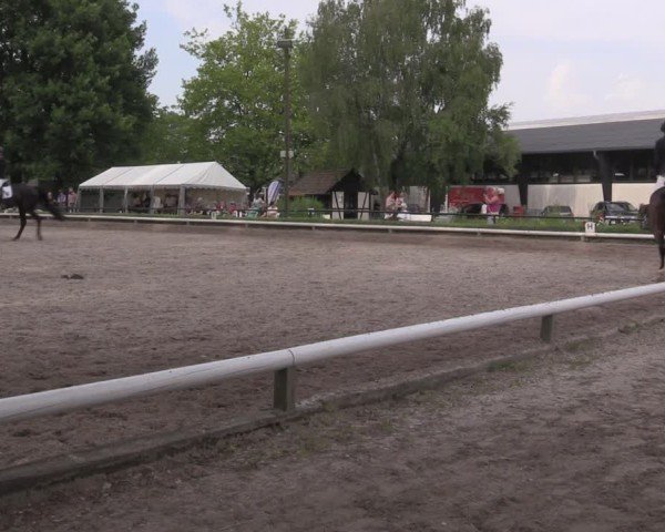 Reitturnier Hamm-Rhynern 2025
