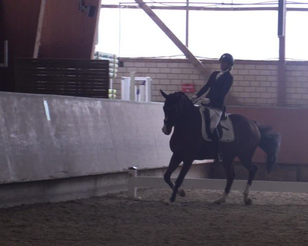 Reitturnier Hellefeld 2025