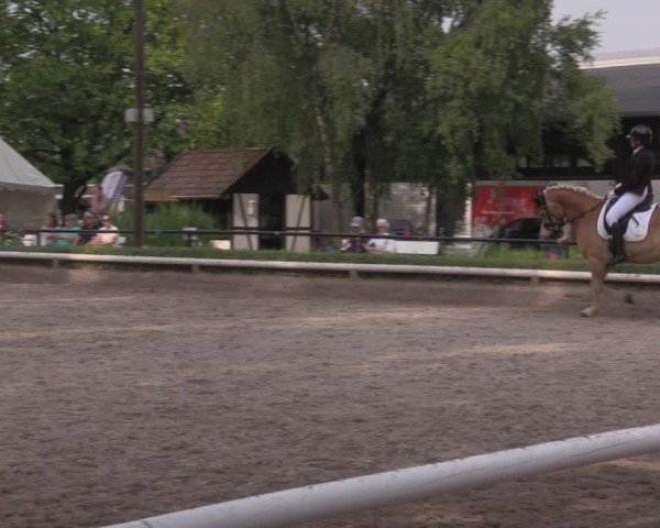 Reitturnier Hamm-Rhynern 2025