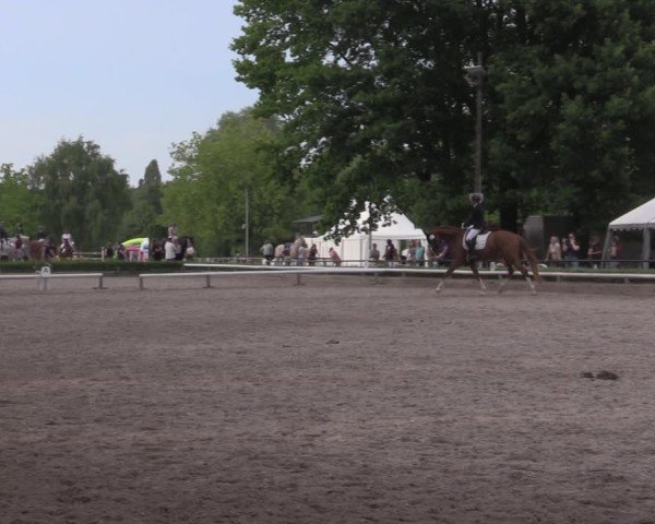 Reitturnier Hamm-Rhynern 2025