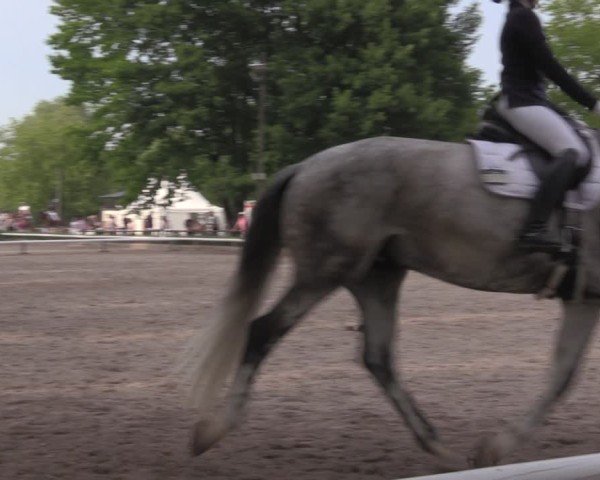 Reitturnier Hamm-Rhynern 2025