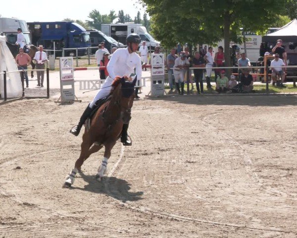 Reitturnier Kitzscher / Reitanlage Heuter 2025