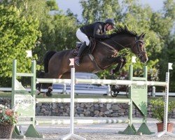 jumper Comme Il Fou (Oldenburg, 2017, from Comme il Faut)