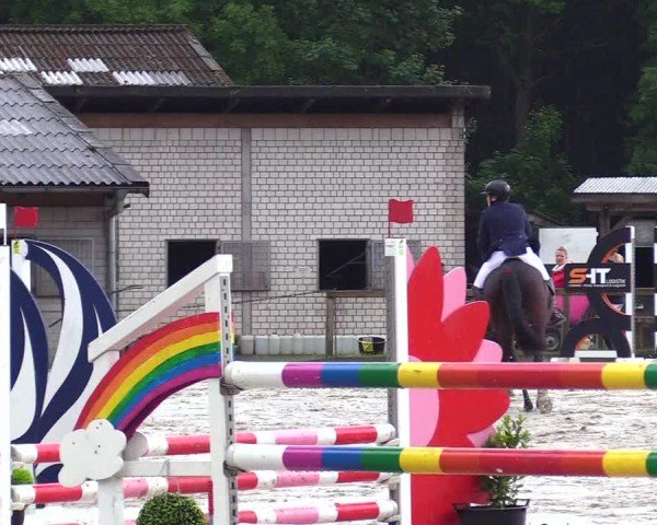 Reitturnier Kropp 2025