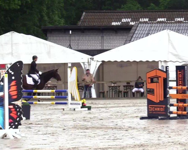 Reitturnier Kropp 2025
