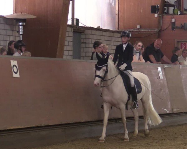 Reitturnier Hellefeld 2025