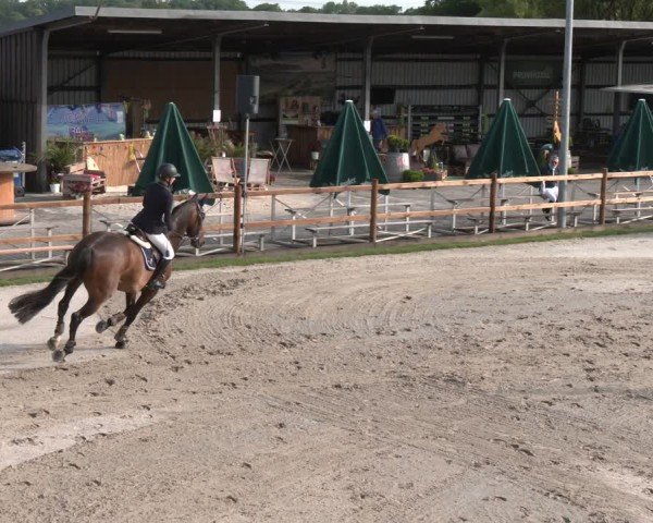 Reitturnier Kirchhellen/Stall Dieckmann 2025