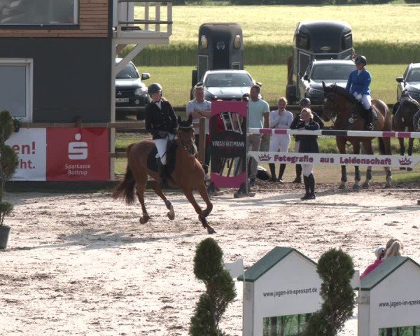 Reitturnier Kirchhellen/Stall Dieckmann 2025
