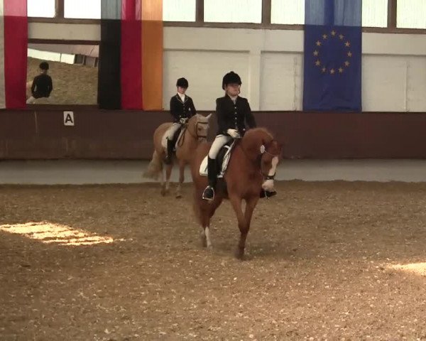 Eröffnung der grünen Saison Bottrop 2014
