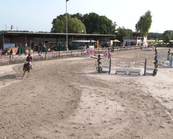 Reitturnier Kirchhellen/Stall Dieckmann 2025