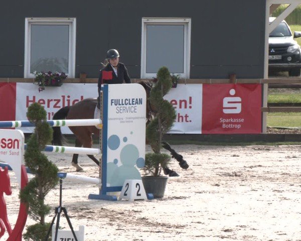 Reitturnier Kirchhellen/Stall Dieckmann 2025