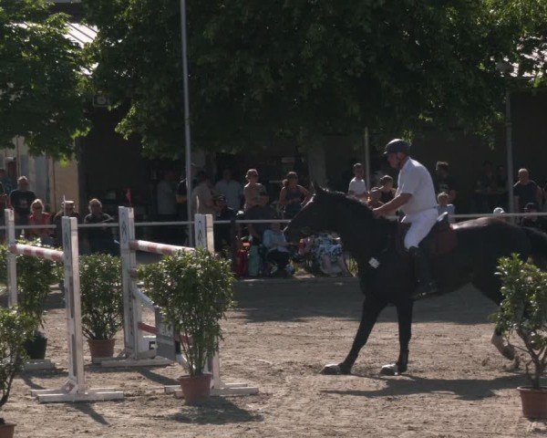 Reitturnier Kitzscher / Reitanlage Heuter 2025