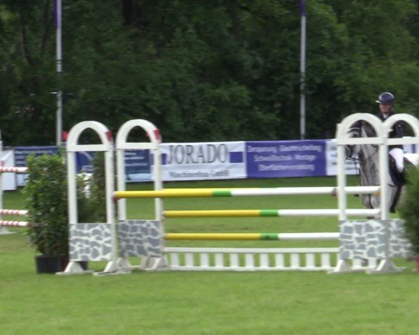 Reitturnier Scharnebeck 2025