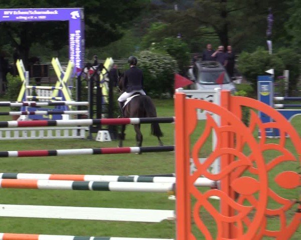 Reitturnier Scharnebeck 2025