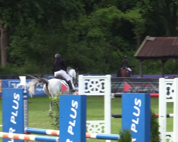 Reitturnier Scharnebeck 2025