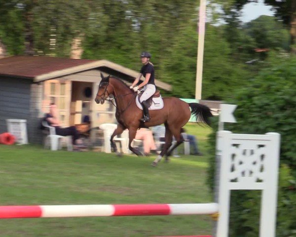 Reitturnier Scharnebeck 2025