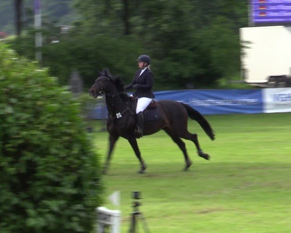 Reitturnier Scharnebeck 2025
