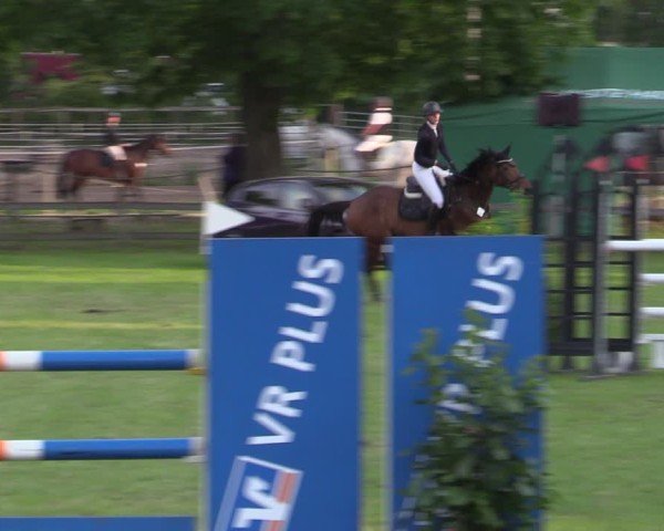 Reitturnier Scharnebeck 2025