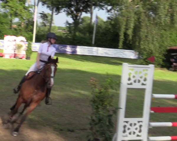Reitturnier Scharnebeck 2025