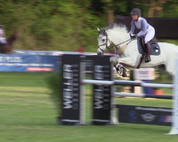 Reitturnier Scharnebeck 2025