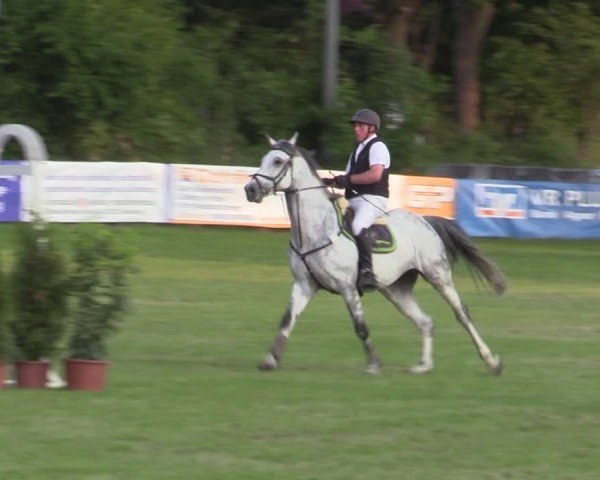 Reitturnier Scharnebeck 2025