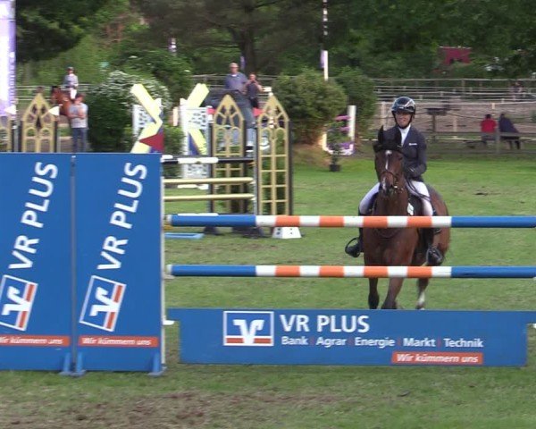 Reitturnier Scharnebeck 2025