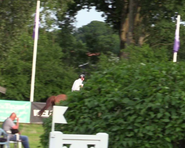 Reitturnier Scharnebeck 2025