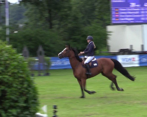 Reitturnier Scharnebeck 2025
