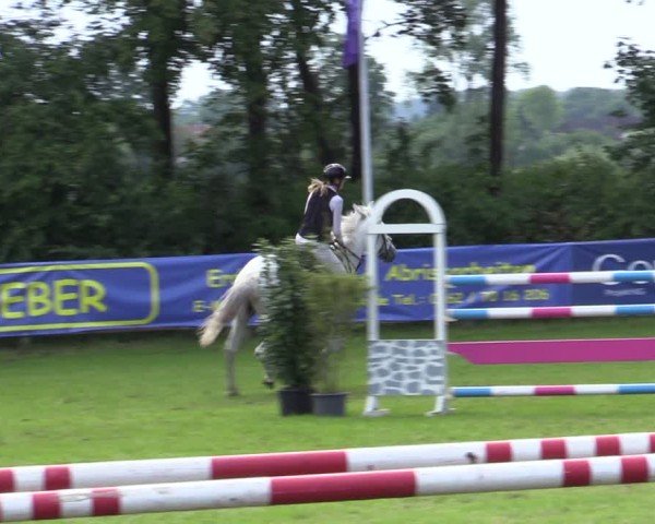 Reitturnier Scharnebeck 2025