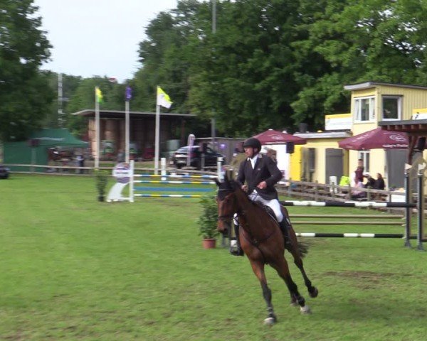 Reitturnier Scharnebeck 2025