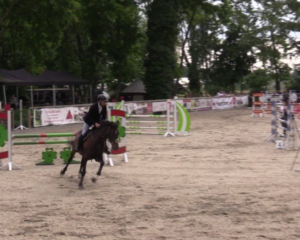 Reitturnier Ruhlsdorf 2025