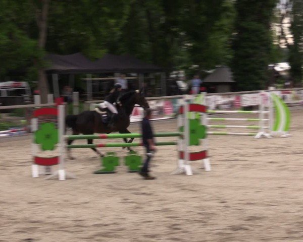Reitturnier Ruhlsdorf 2025