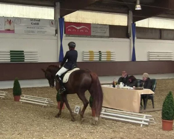 Eröffnung der grünen Saison Bottrop 2014