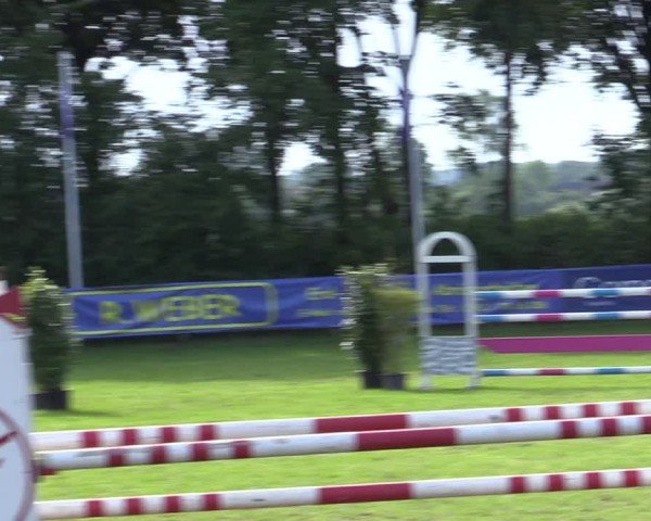 Reitturnier Scharnebeck 2025
