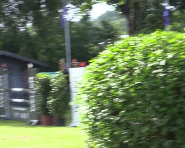 Reitturnier Scharnebeck 2025