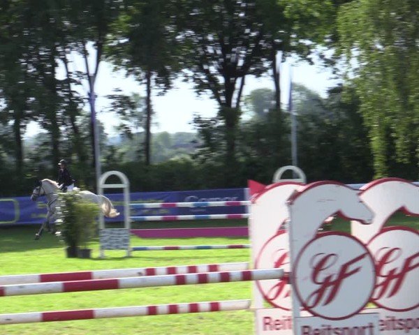 Reitturnier Scharnebeck 2025