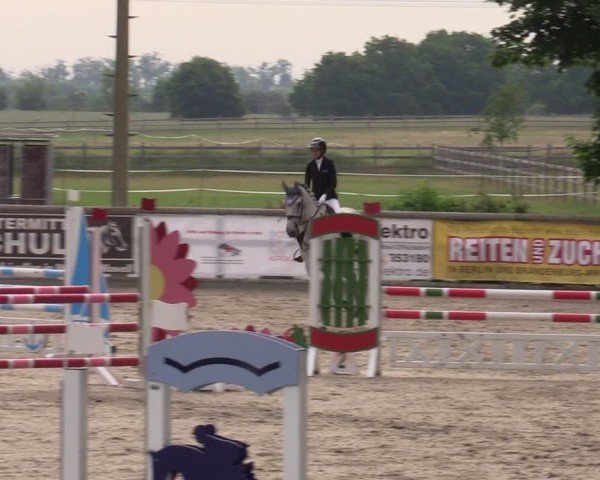 Reitturnier Ruhlsdorf 2025