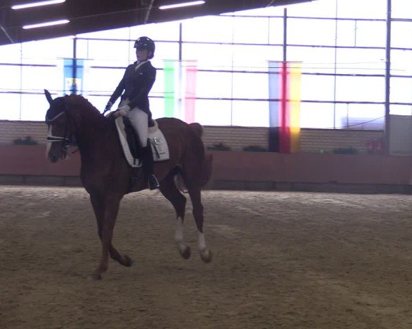 Reitturnier Hellefeld 2025