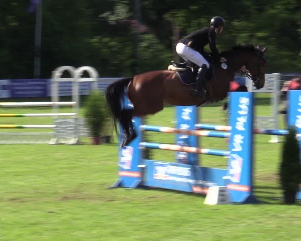 Reitturnier Scharnebeck 2025