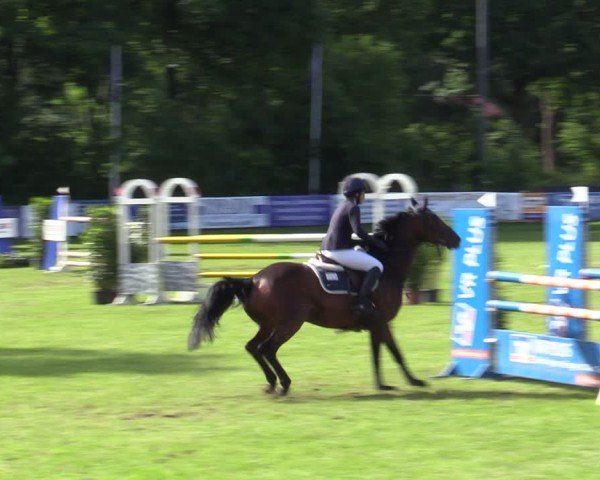 Reitturnier Scharnebeck 2025