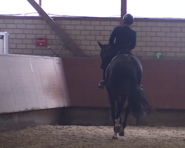 Reitturnier Hellefeld 2025
