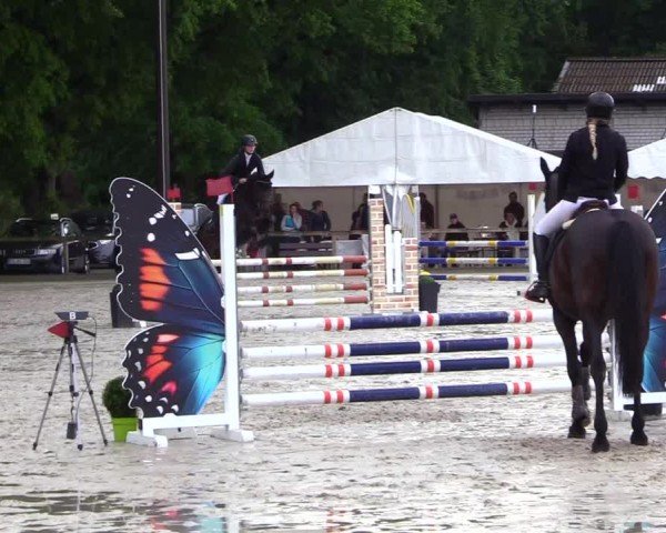 Reitturnier Kropp 2025