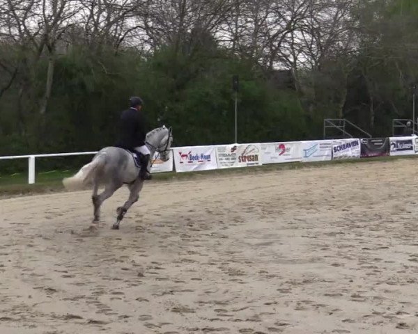 Eröffnung der grünen Saison Bottrop 2014