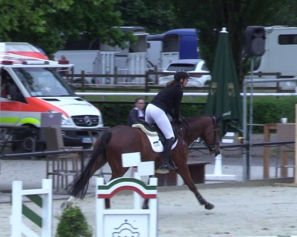 Reitturnier Hamm-Rhynern 2025