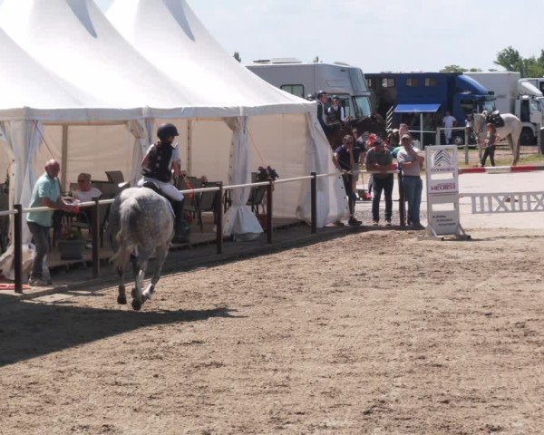 Reitturnier Kitzscher / Reitanlage Heuter 2025