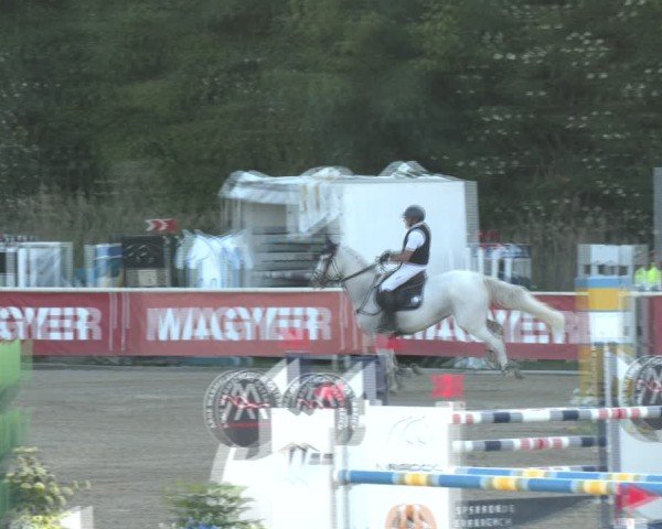 Reitturnier Lassee 2025