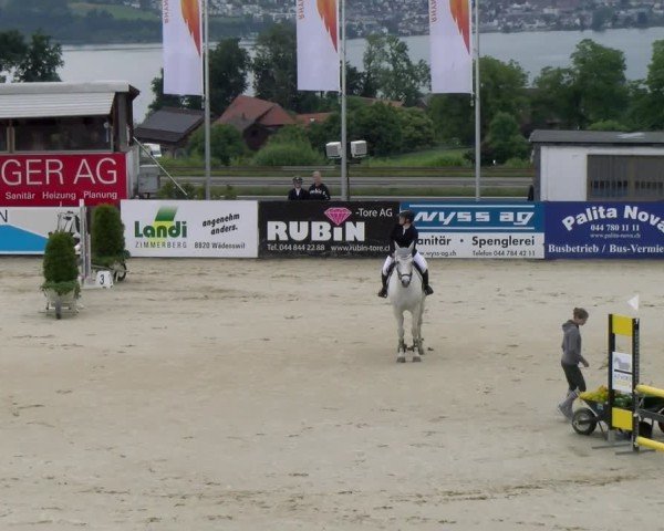 Reitturnier Wädenswil 2025