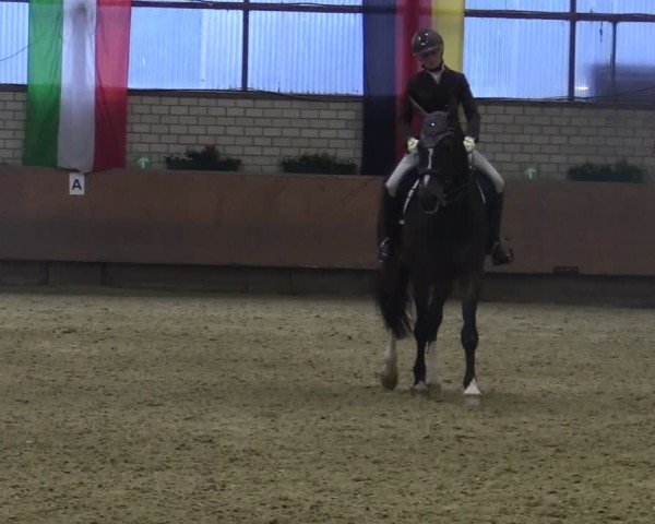 Reitturnier Hellefeld 2025